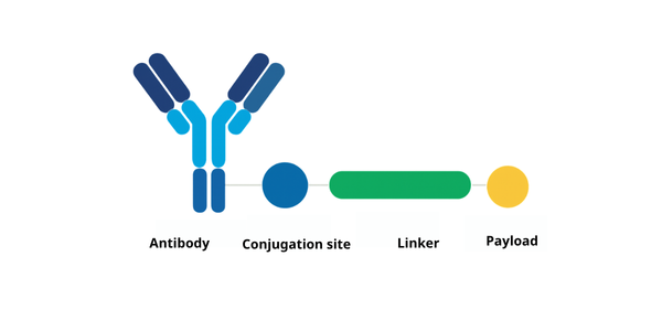 Antibody-Drug-Candidate-Crystal-Bio-Solutions