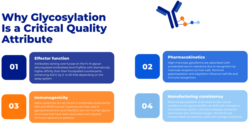 Antibody-Glycosylation-Crystal-Bio-Solutions-
