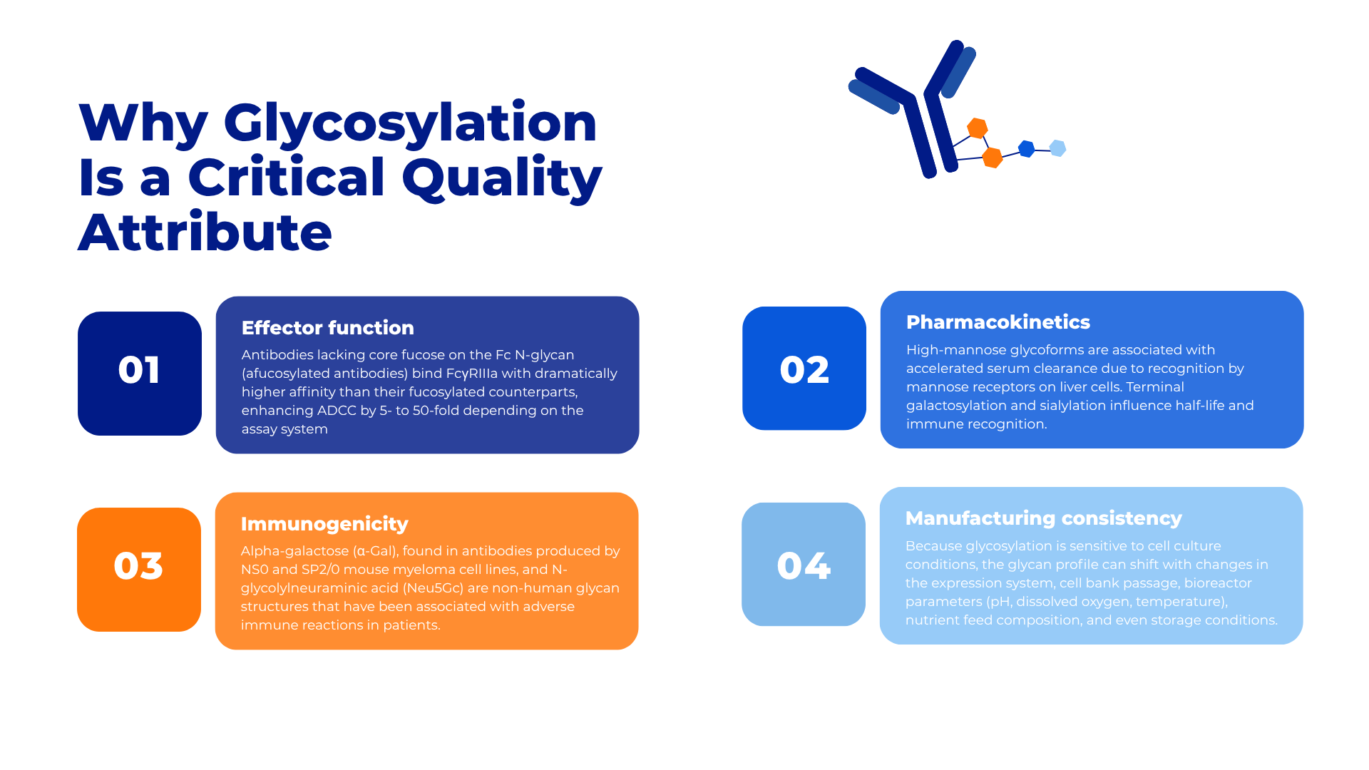 Antibody-Glycosylation-Crystal-Bio-Solutions-1