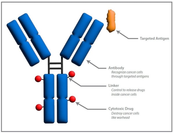 Antibody-drug-conjugate-ADC-characterization Antibody-drug-conjugate-ADC-characterization