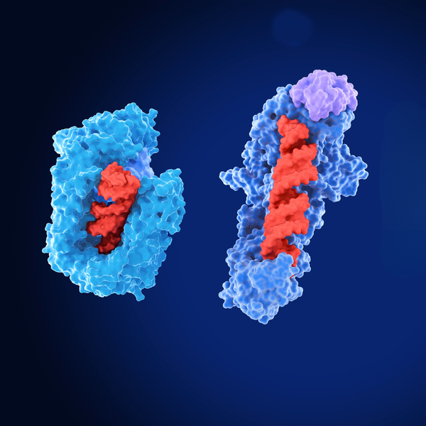 Biosimilar-Drugs-Crystal-Biosolutions-1