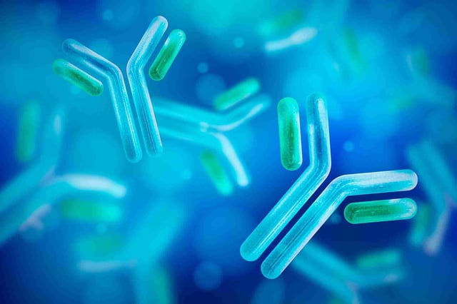 Stylized Y-shaped antibody molecules floating in solution, illustrating monoclonal antibody structure and biologics modality concepts.