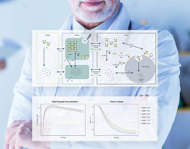 A doctor with folded arms overlaid with diagrams showing drug distribution between tissues, plasma, and tumors, along with graphs of total payload concentration and tumor volume over time for varying DAR values.