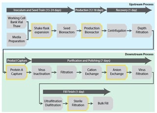 Sterility Assays in Drug and Device Manufacturing