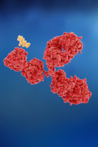 anitbody-drug-conjugate-crystal-biosolutions