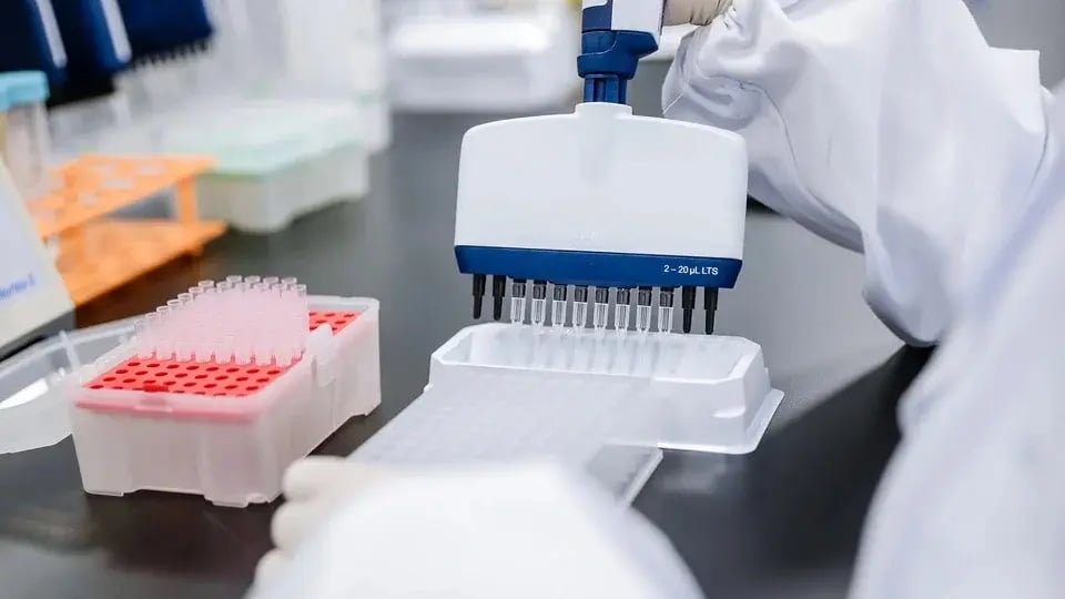 Scientist loading a 96-well plate with a multichannel pipette during bioanalysis sample preparation.