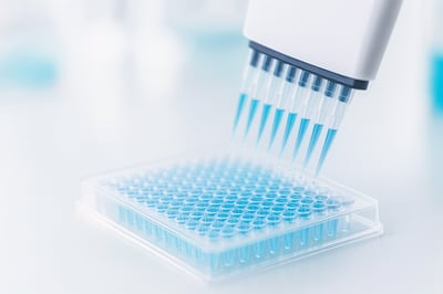 Close view of a multichannel pipette dispensing blue samples into a 96-well microplate in a clean GLP lab, illustrating high-throughput immunoassay workflows for PK, ADA, and biomarker testing at Crystal Bio Solutions.