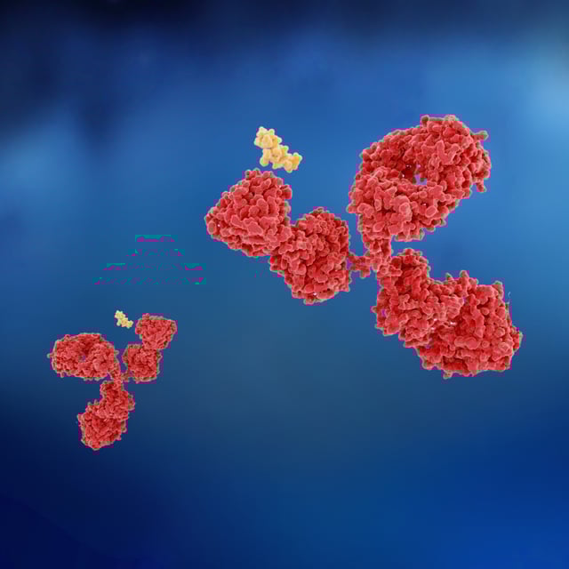 nab-ada-immunogenicity-crystalbiosolutions-