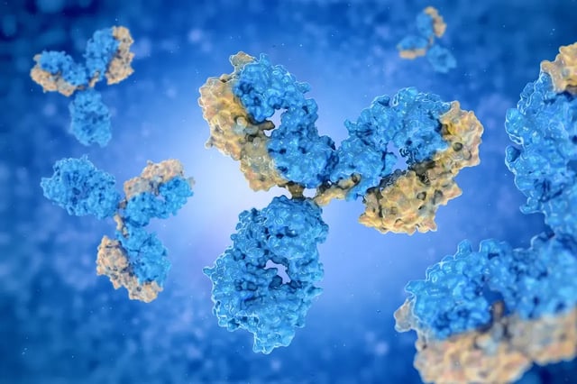 3D illustration of a biologic protein complex binding to a target in a fluid environment, used to explain how biologics act on specific pathways and receptors.