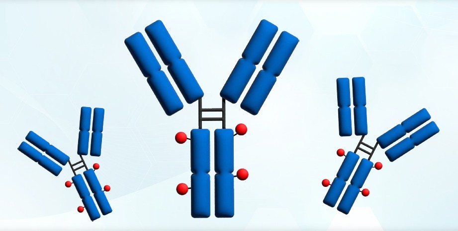Critical Quality Attribute (CQA) in Antibody Drug Conjugate (ADC) Modality