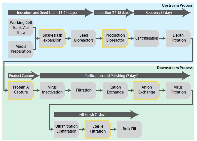 Sterility Assays in Drug and Device Manufacturing