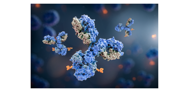 Strategies for Antibody-Drug Conjugates Bioanalysis